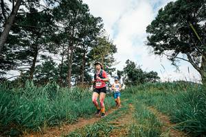 BIB: 
                            <button type="button" onclick="openModal(26034664)" class="btn btn-primary btn-sm float-right btn-popup" data-toggle="modal" data-target=".modal-high-quality">
                        <i class="fas fa-shopping-cart"></i> Add to Cart
                    </button>
                                            <button type="button" onclick="isThisMe(26034664, true)" class="btn btn-success btn-sm float-right btn-popup btn-isme hidden" data-toggle="tooltip" data-placement="bottom" title="นี่คือรูปของคุณใช่ไหม คลิกที่นี่เพื่อเอาเข้าอัลบั้ม">
                        <i class="fas fa-plus"></i> Add to album
                    </button>
                    <button type="button" onclick="isThisMe(26034664, false)" class="btn btn-warning btn-sm float-right btn-popup btn-isnotme hidden">
                        <i class="fas fa-ban"></i> Remove from album
                    </button>